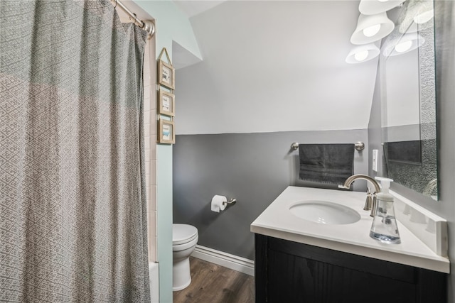 bathroom featuring vanity, a shower with curtain, wood-type flooring, and toilet