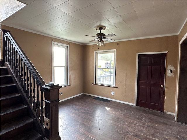 foyer with ornamental molding, dark hardwood / wood-style floors, and ceiling fan