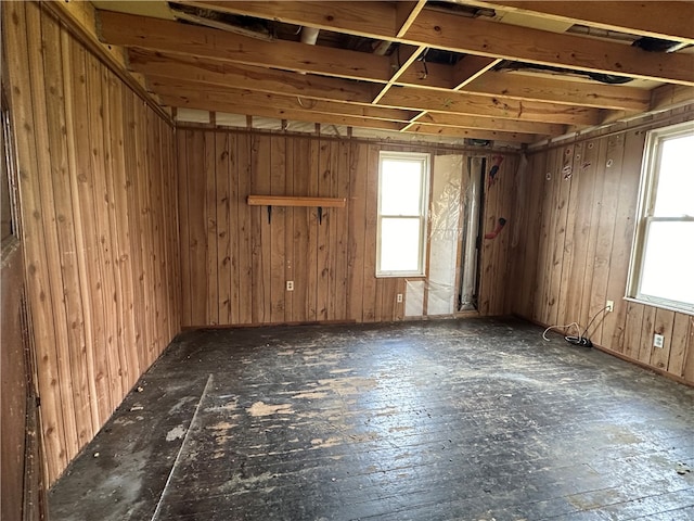 misc room with wood walls and a wealth of natural light