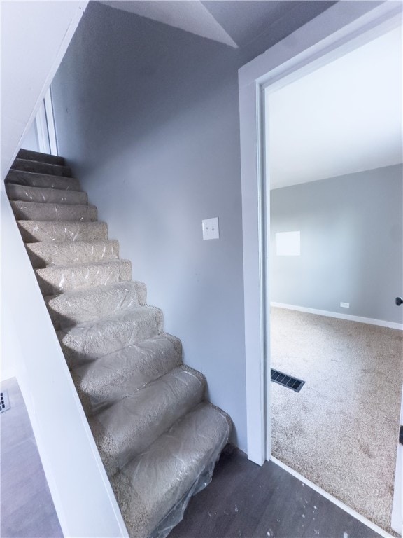 staircase featuring carpet flooring