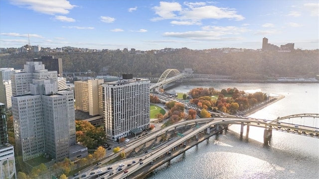 birds eye view of property featuring a water view