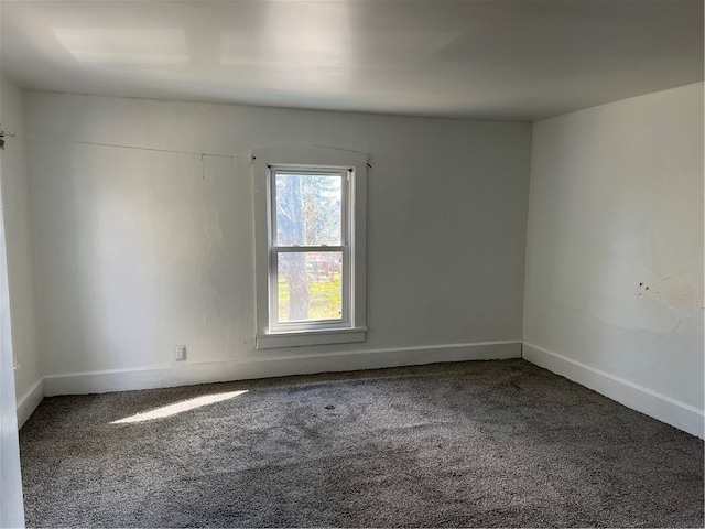 unfurnished room with carpet