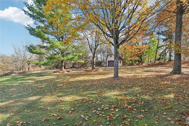 view of yard featuring a shed