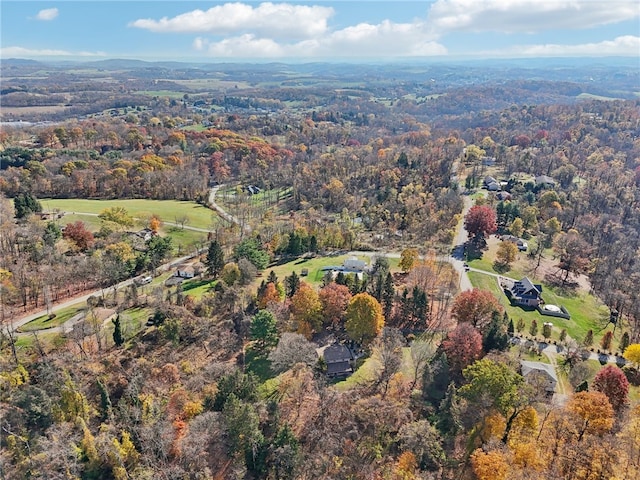 aerial view