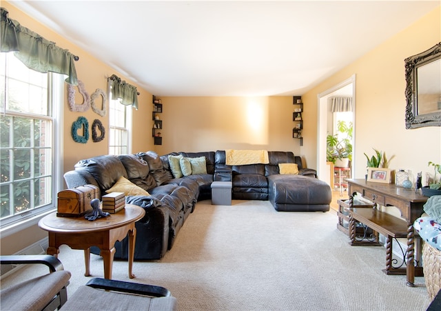 living room with carpet