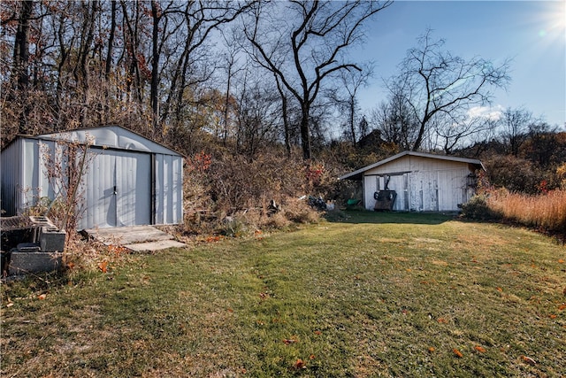 view of yard featuring a shed