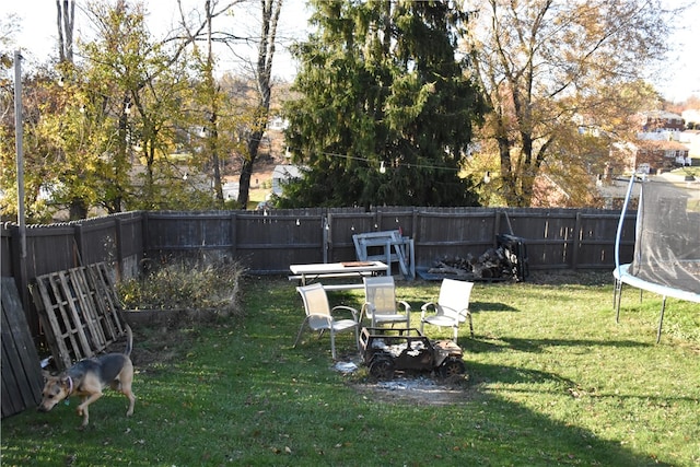 view of yard with a trampoline