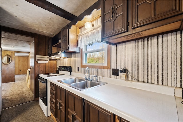 kitchen with wood walls, sink, dark brown cabinets, electric range, and dark carpet