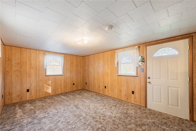 carpeted foyer featuring wood walls and a wealth of natural light