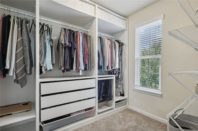 walk in closet featuring carpet floors