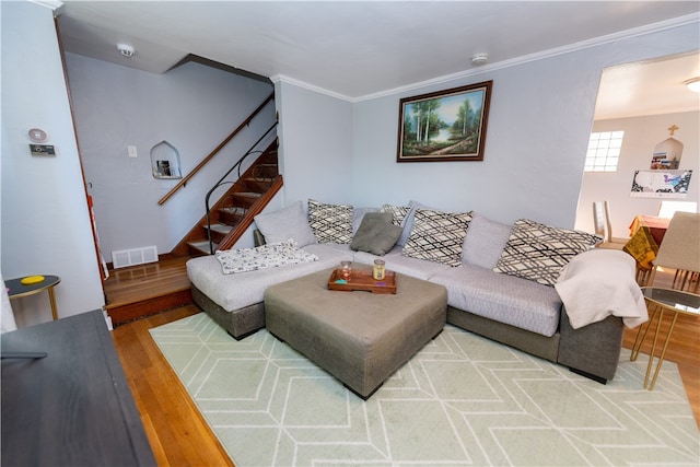 living room with crown molding and wood-type flooring