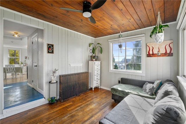 living room with radiator heating unit, ceiling fan, dark hardwood / wood-style flooring, wooden ceiling, and wooden walls