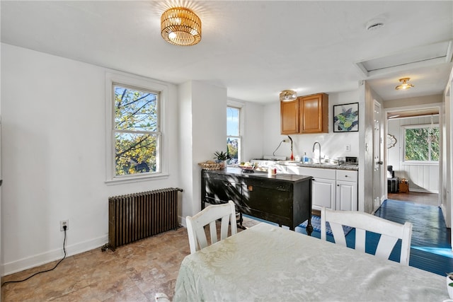 dining space featuring radiator heating unit and sink