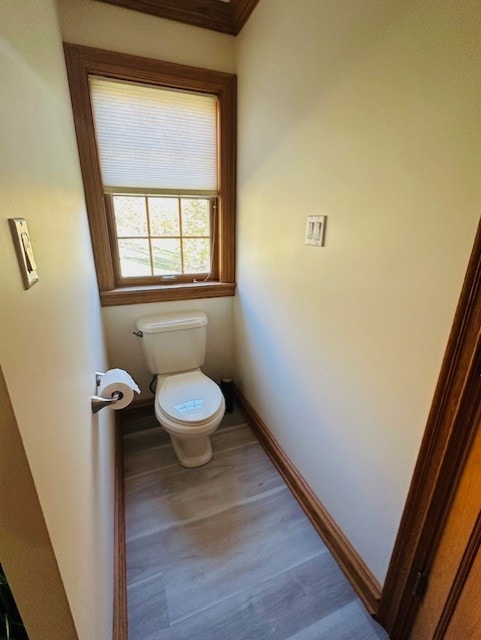 bathroom featuring toilet and hardwood / wood-style flooring