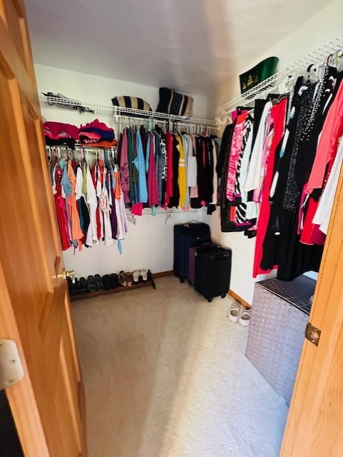 spacious closet featuring carpet floors