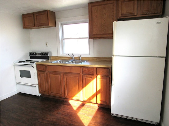 kitchen featuring sink, dark wood-type flooring, and white appliances