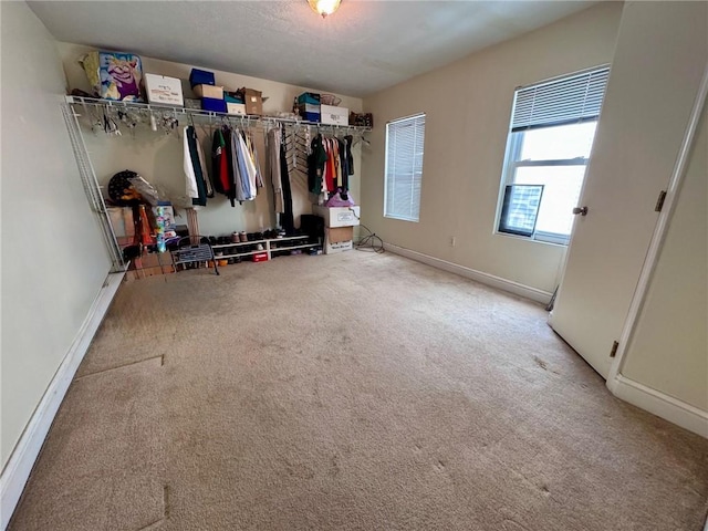 spacious closet featuring carpet