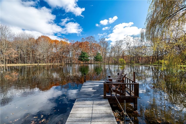 dock area with a water view