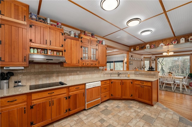 kitchen with dishwasher, extractor fan, plenty of natural light, and black electric stovetop