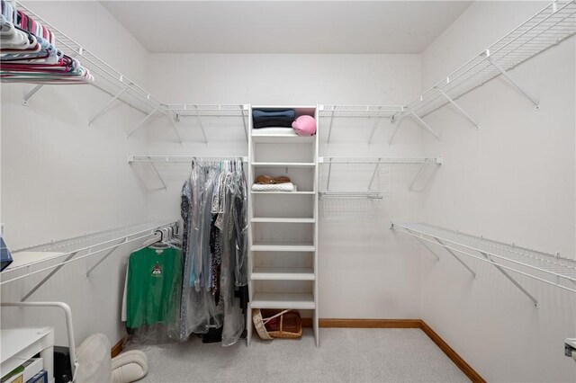 walk in closet with carpet