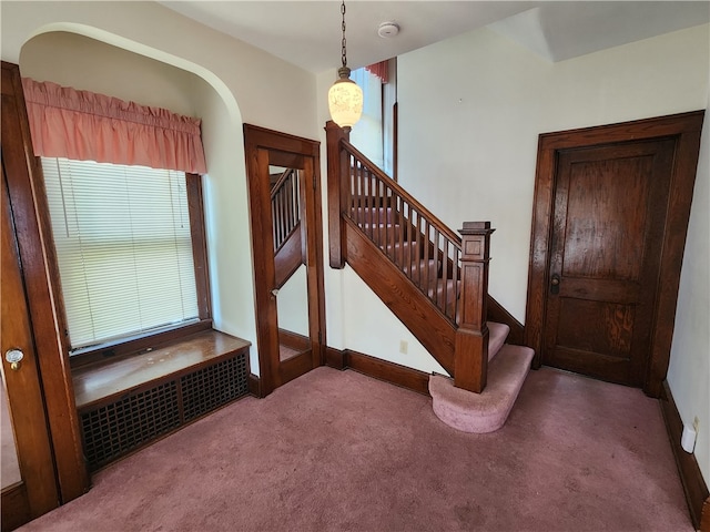 stairway featuring carpet floors