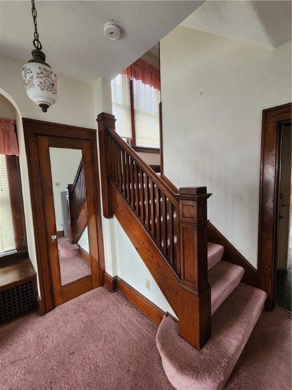 stairs featuring carpet flooring and plenty of natural light