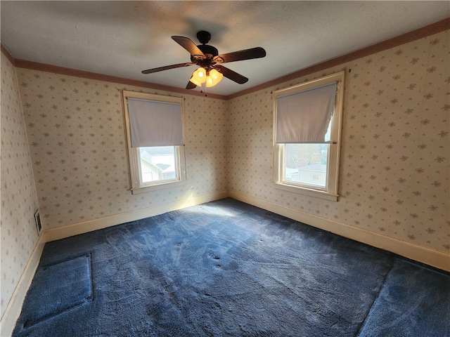 empty room featuring crown molding, a textured ceiling, and a wealth of natural light