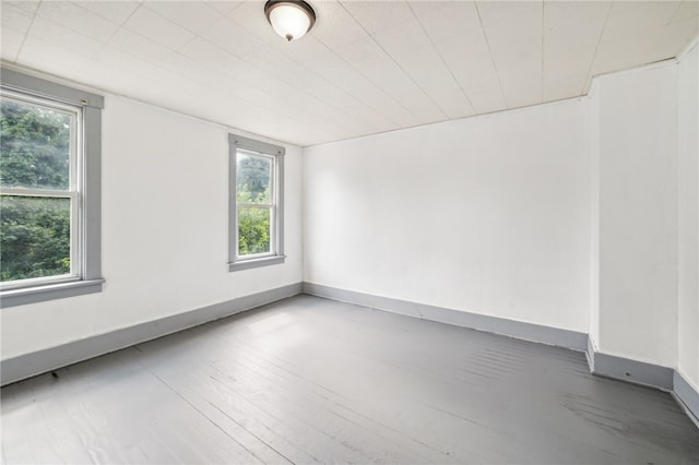 spare room with wood-type flooring