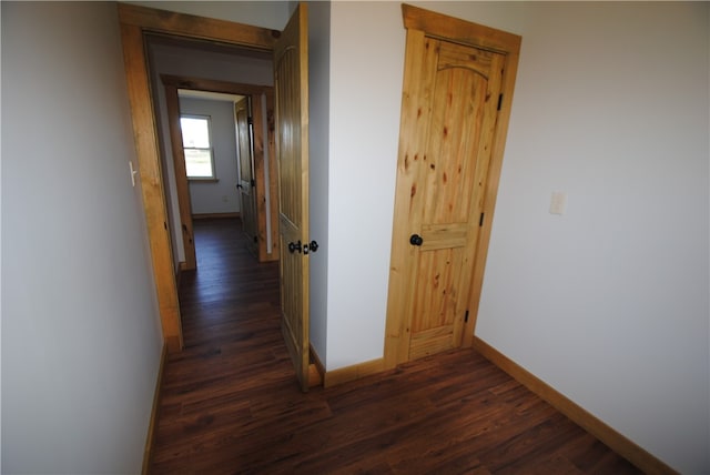 hall featuring dark hardwood / wood-style flooring