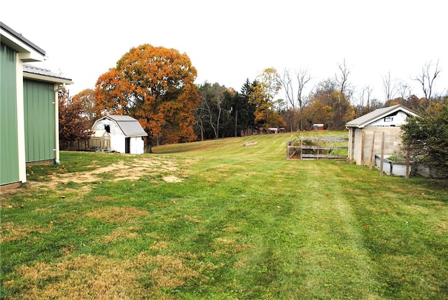 view of yard with a shed