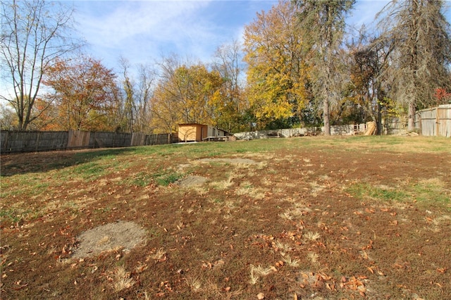 view of yard with a storage shed