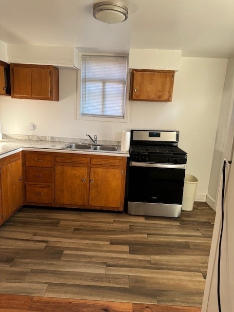 kitchen featuring stainless steel range with gas cooktop, sink, and dark hardwood / wood-style flooring