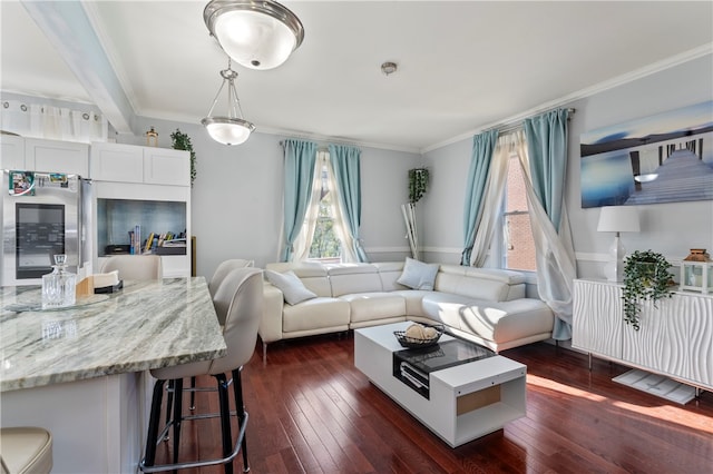 living room featuring dark wood-type flooring, crown molding, and radiator