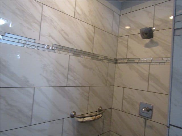 interior details with tiled shower