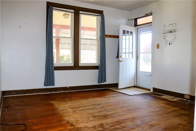 doorway featuring hardwood / wood-style flooring and plenty of natural light