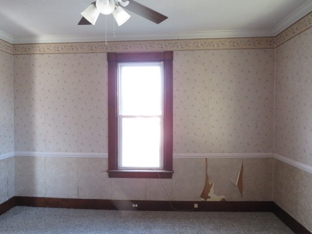 unfurnished room featuring ceiling fan and crown molding