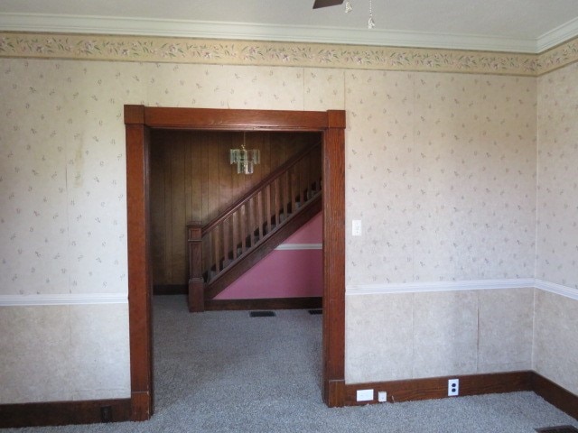 empty room with crown molding and carpet floors