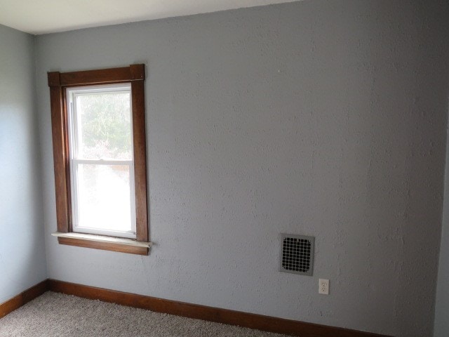 spare room with a wealth of natural light and carpet floors