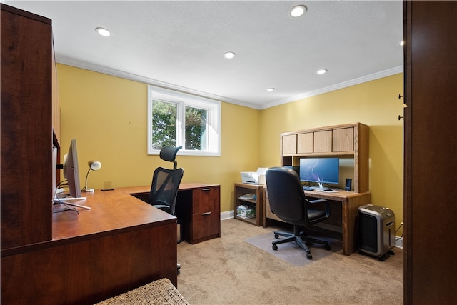 office area featuring light carpet and crown molding