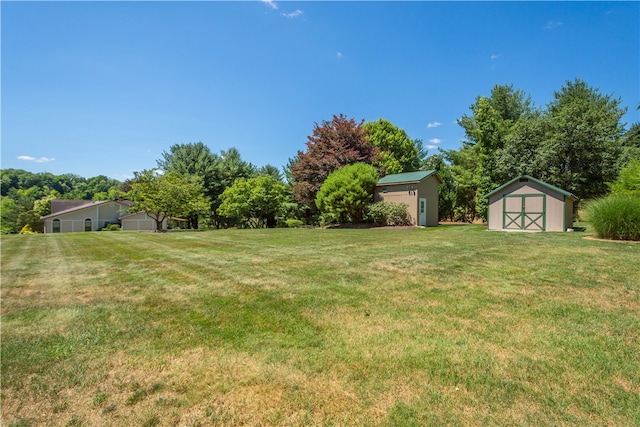 view of yard featuring a storage unit