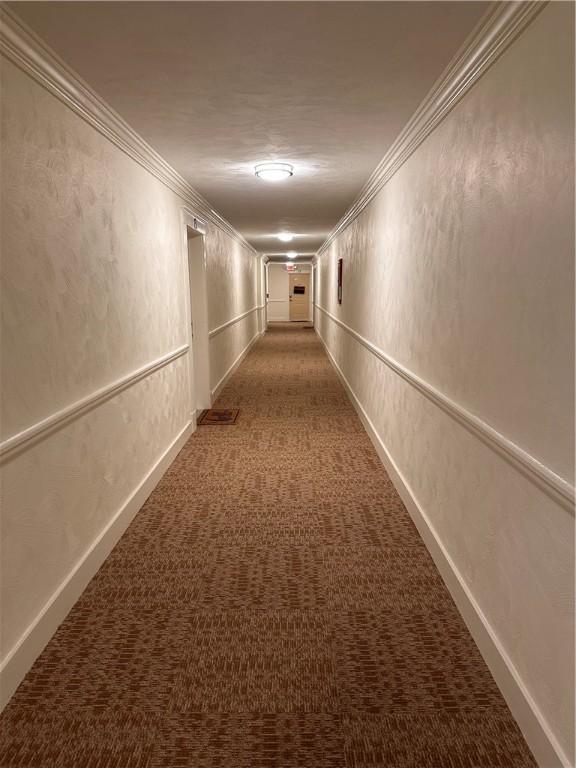 5900 Babcock Blvd Unit 80, Ross Twp, PA 15237 - hall featuring carpet and ornamental molding