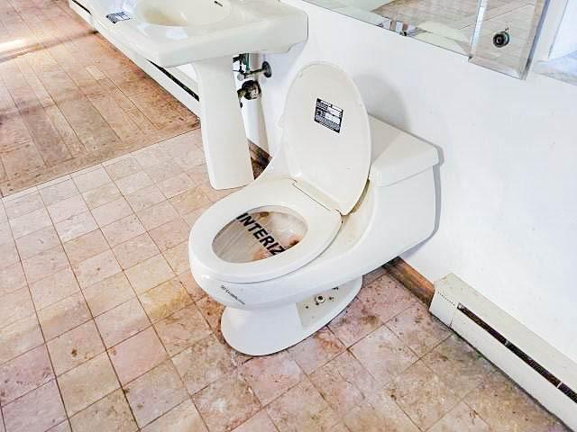 bathroom view of a baseboard radiator and toilet