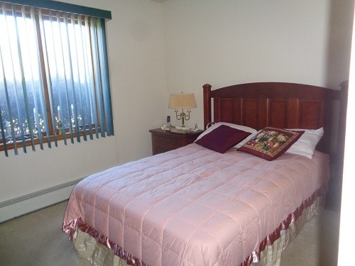 bedroom with carpet floors