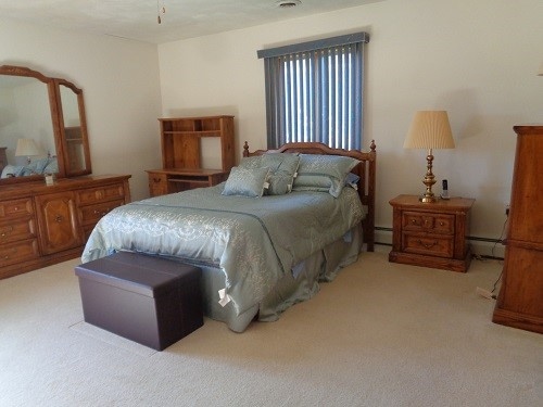 carpeted bedroom featuring baseboard heating