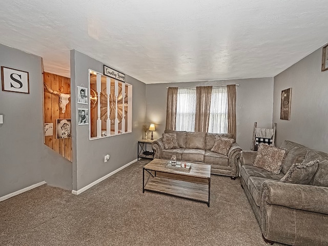 carpeted living room with a textured ceiling