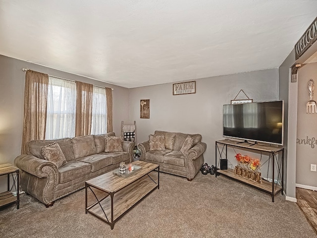 living room with carpet floors