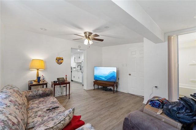 living room featuring sink, ceiling fan, and light hardwood / wood-style flooring