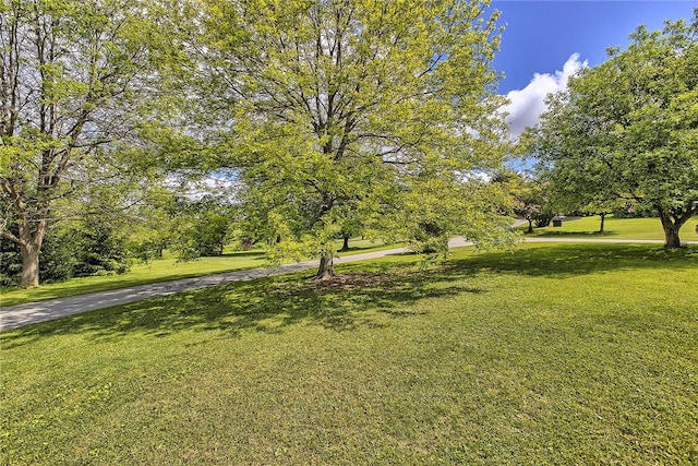 view of home's community featuring a lawn