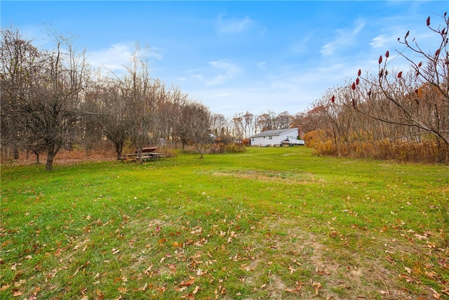 view of yard featuring a rural view