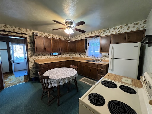 kitchen with dark brown cabinetry, sink, white appliances, and ceiling fan